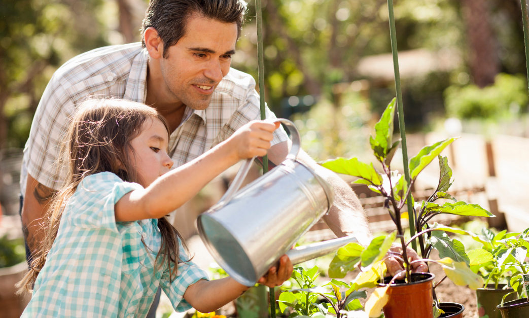 A man and child water plants using a watering can in the summer.